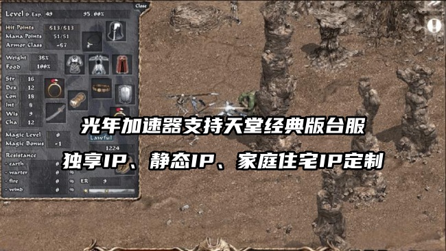 天堂经典版台服独享原生静态IP加速器推荐,不会一IP多卖的游戏加速器