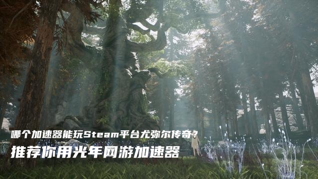 尤弥尔传奇在Steam找不到游戏怎么办？国区玩家专属解决方案来了